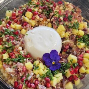 Italiaanse Parelcouscous Koud : Seranoham - Burrata